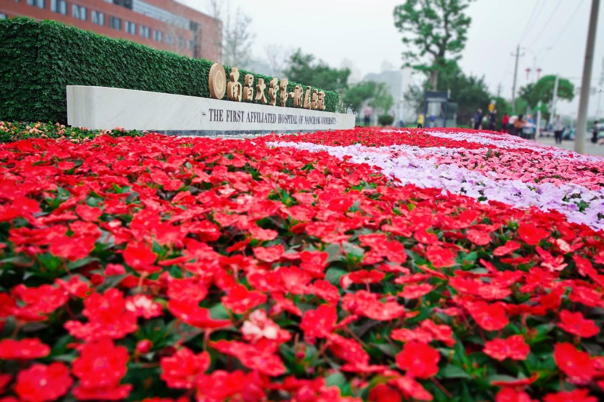 南昌大学第一附属医院象湖分院发展,南昌象湖第一附属医院周边规划