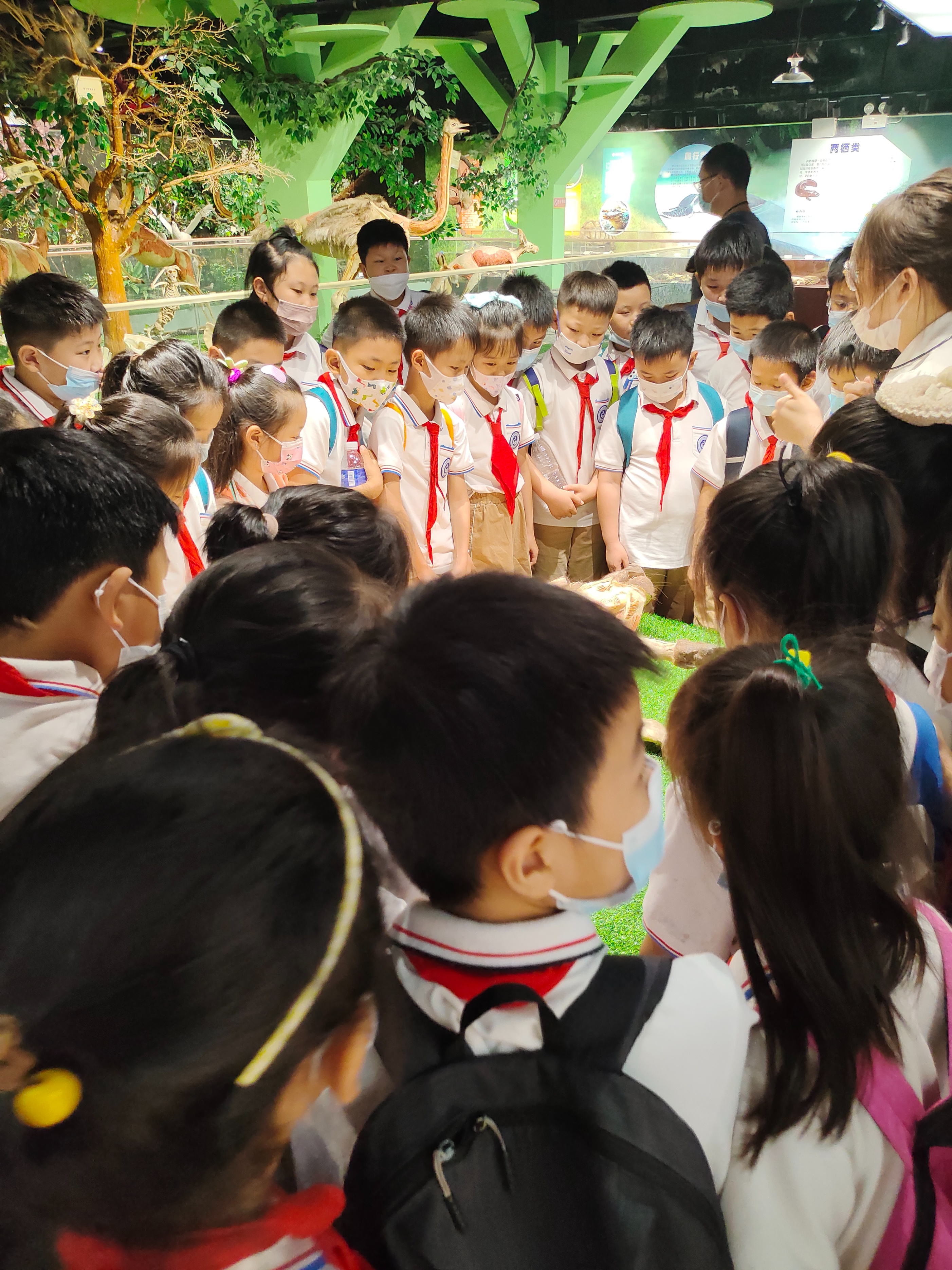 夏季郑州旅游避暑好去处,郑州夏季适合去哪旅游攻略