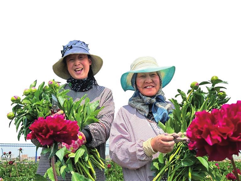 兰州新区乡村振兴生态养殖,兰州新区全力打造现代农业新样板