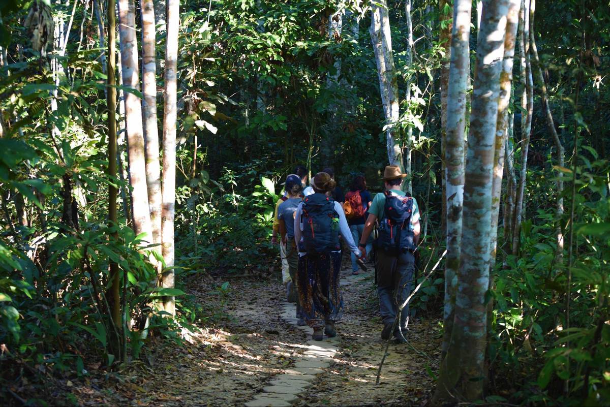 被蛇吞下是什么感觉？科学家身穿盔甲以身试验，心率直接飙升180