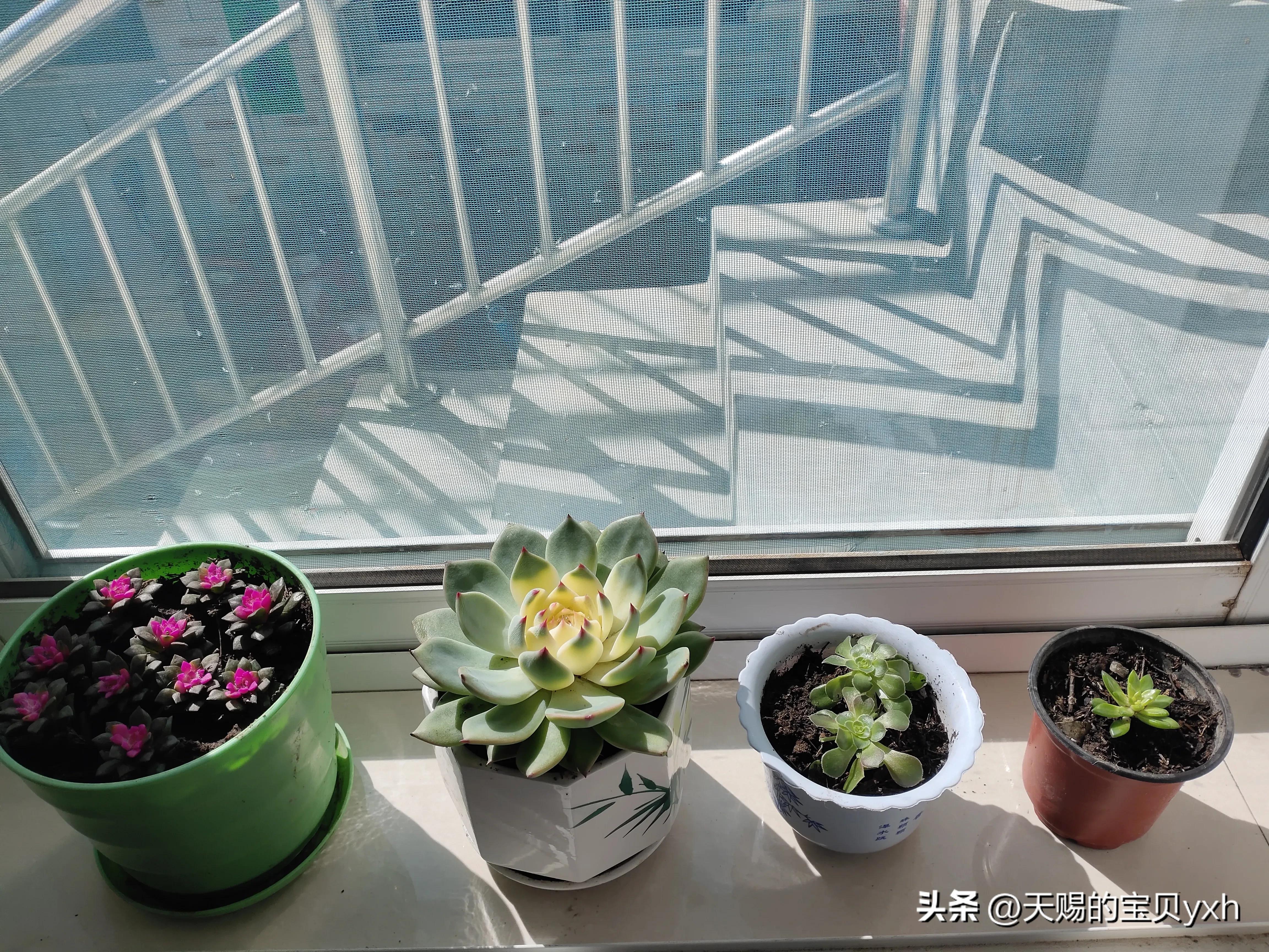 你在朋友圈是没有朋友了吗,你的朋友圈全部没有了吗