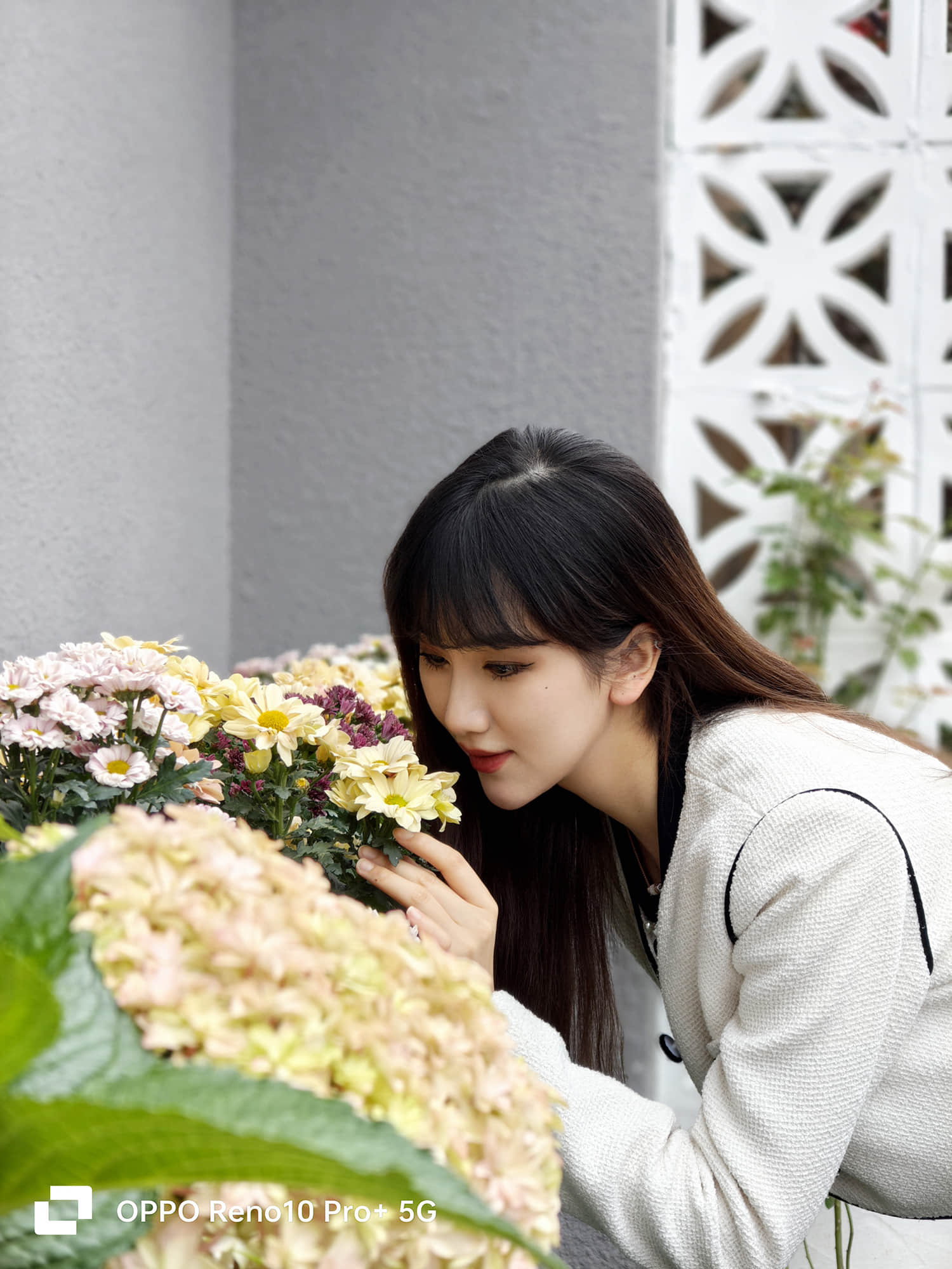 OPPOReno10究竟好不好,进来听我说说