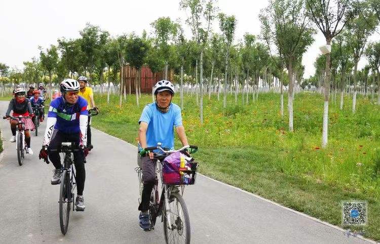 【十项行动·津南行动】在津南，赴一场“文明之约”——天津津南区创建全国文明城区工作综述