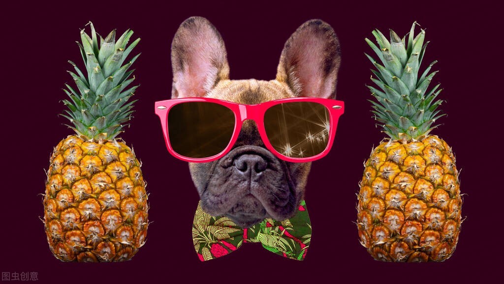 狗狗身上散发出腥臭味,怎样去除狗狗身上异味