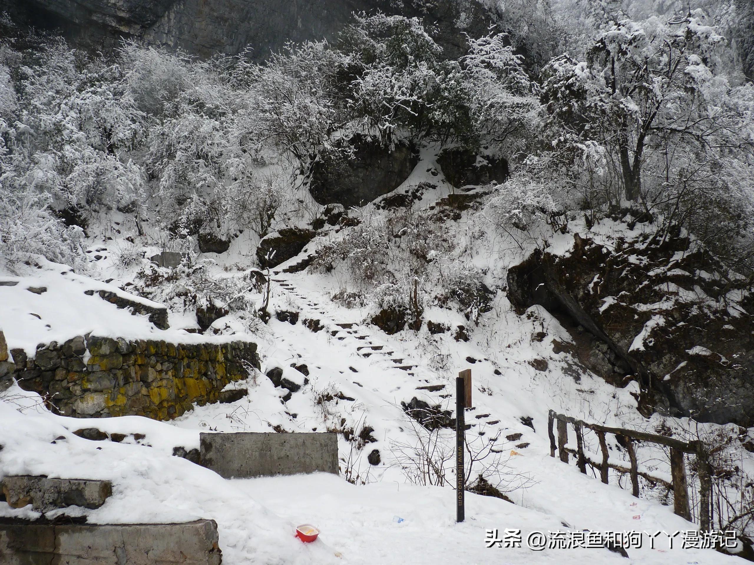 四月份成都近郊一日游好去处,2022成都近郊看雪一日游最佳去处
