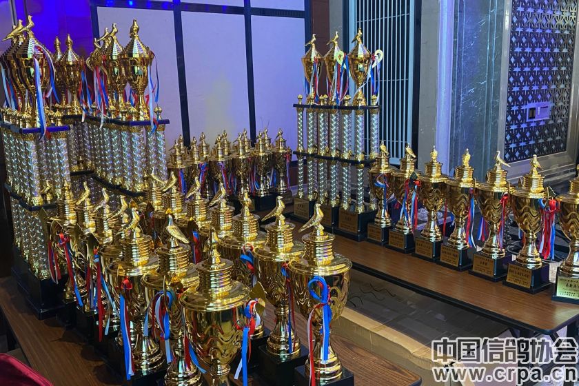 共襄盛举2018,共襄盛举与共襄盛会