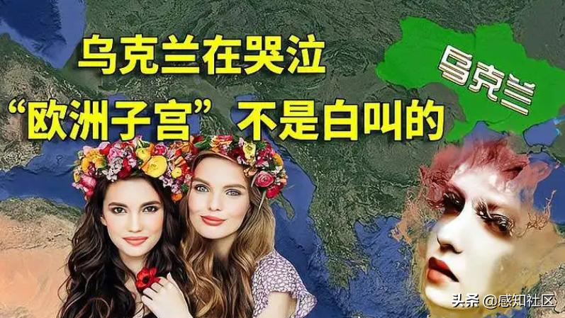 人体=金钱，东南亚为何成为人口和器官贩卖的窝巢