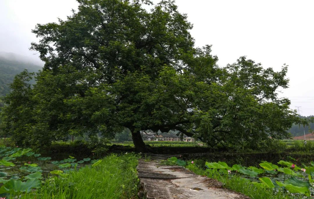 跟着chatgpt学习,跟着gps去旅行