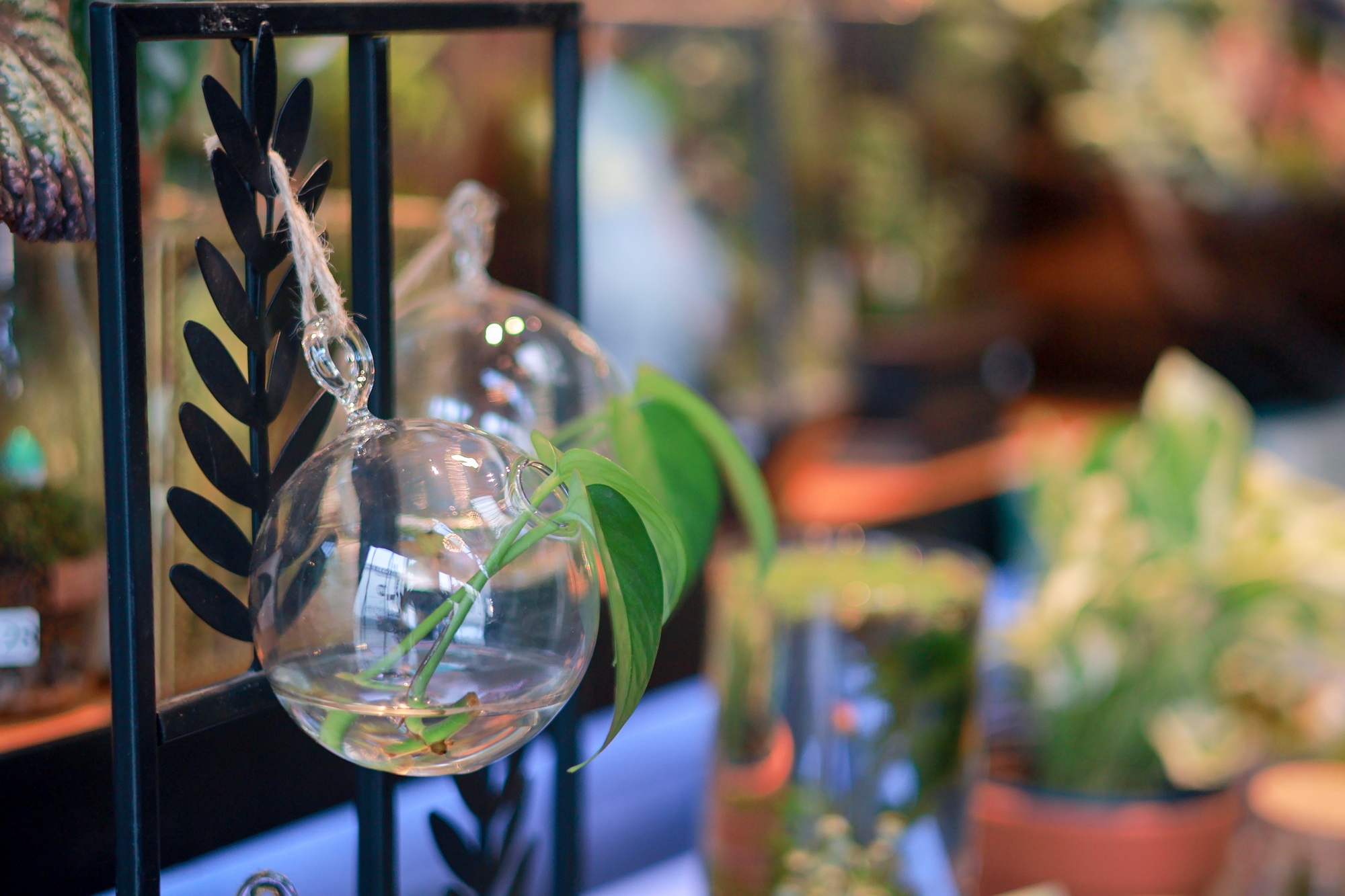 佳能eosr50详细介绍,佳能EosR50优缺点