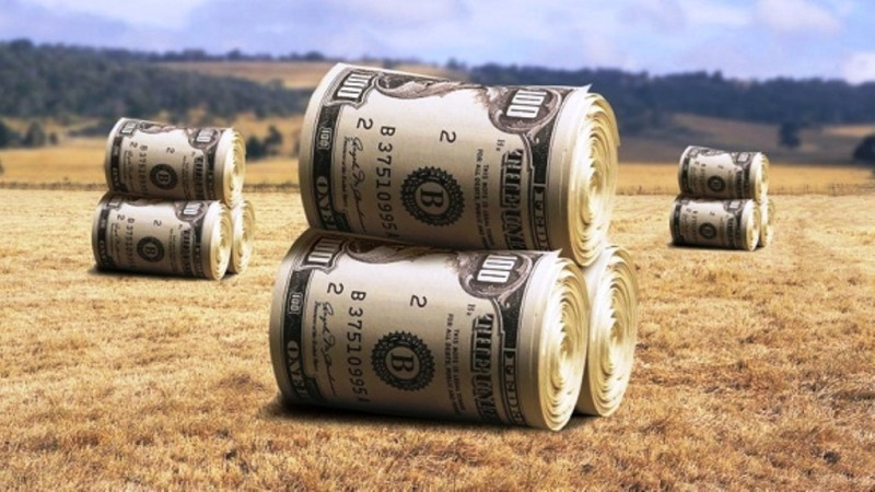 美国大豆订单最新,中国从美国采购340万吨大豆