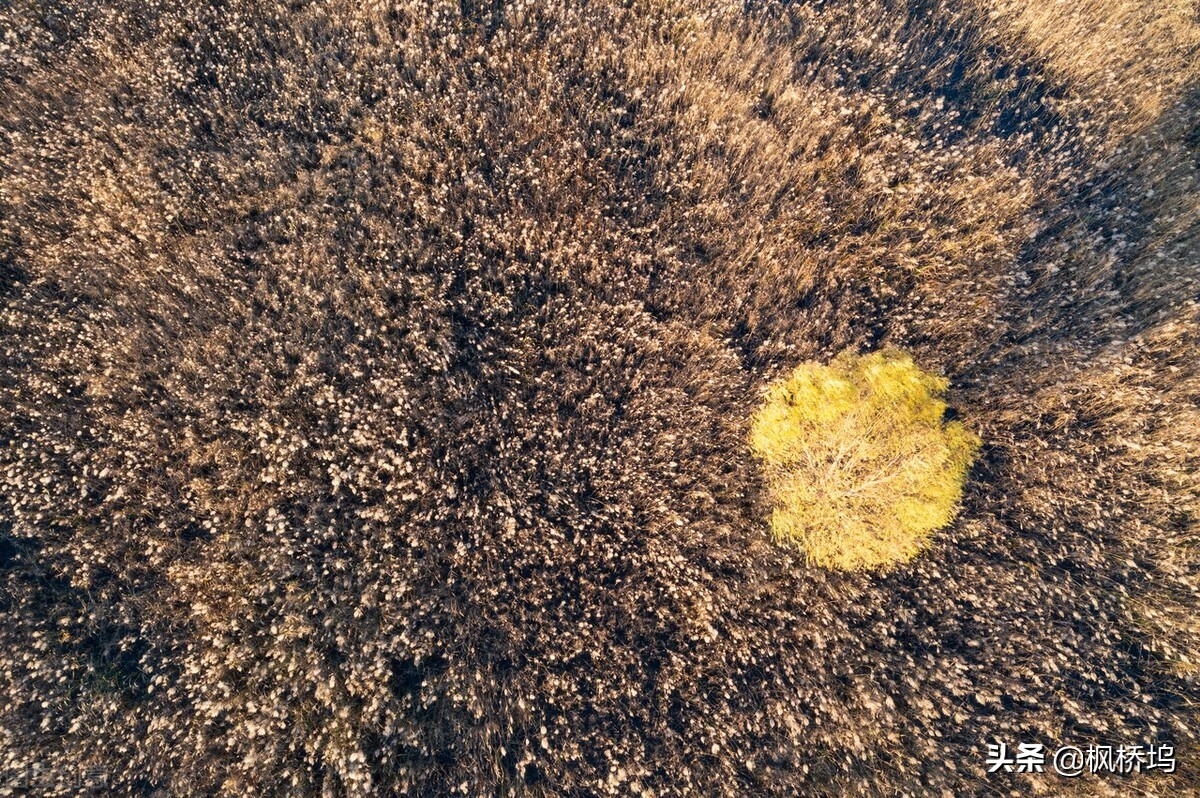 预感不好的事情真的会发生,预感有不好的事情发生