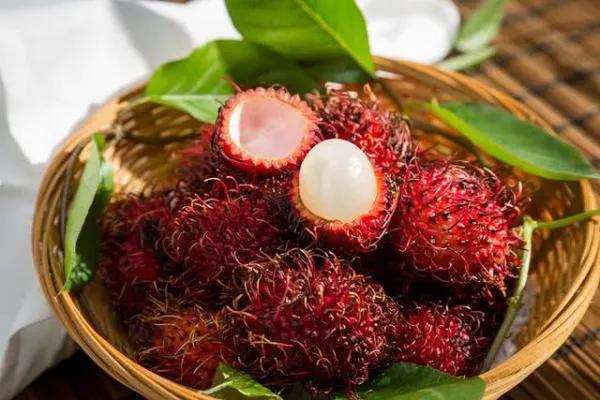 100多种罕见水果欣赏,100种罕见水果名字