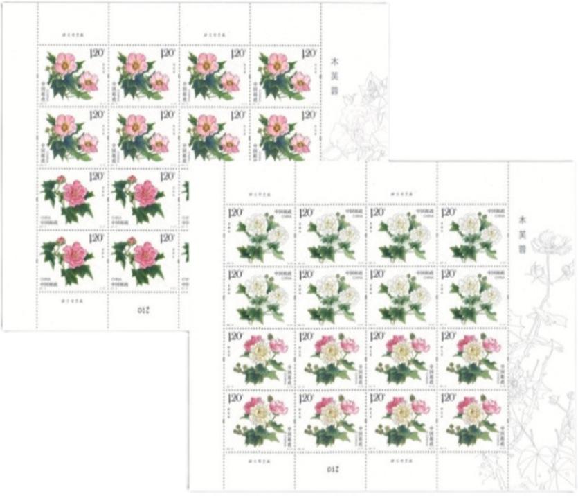 深度分析低价品种,潜在翻倍的五个强势品种深度分析