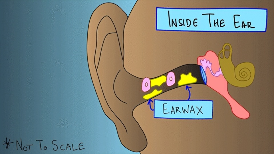 掏耳朵怎么样不疼,掏耳屎为什么这么舒服