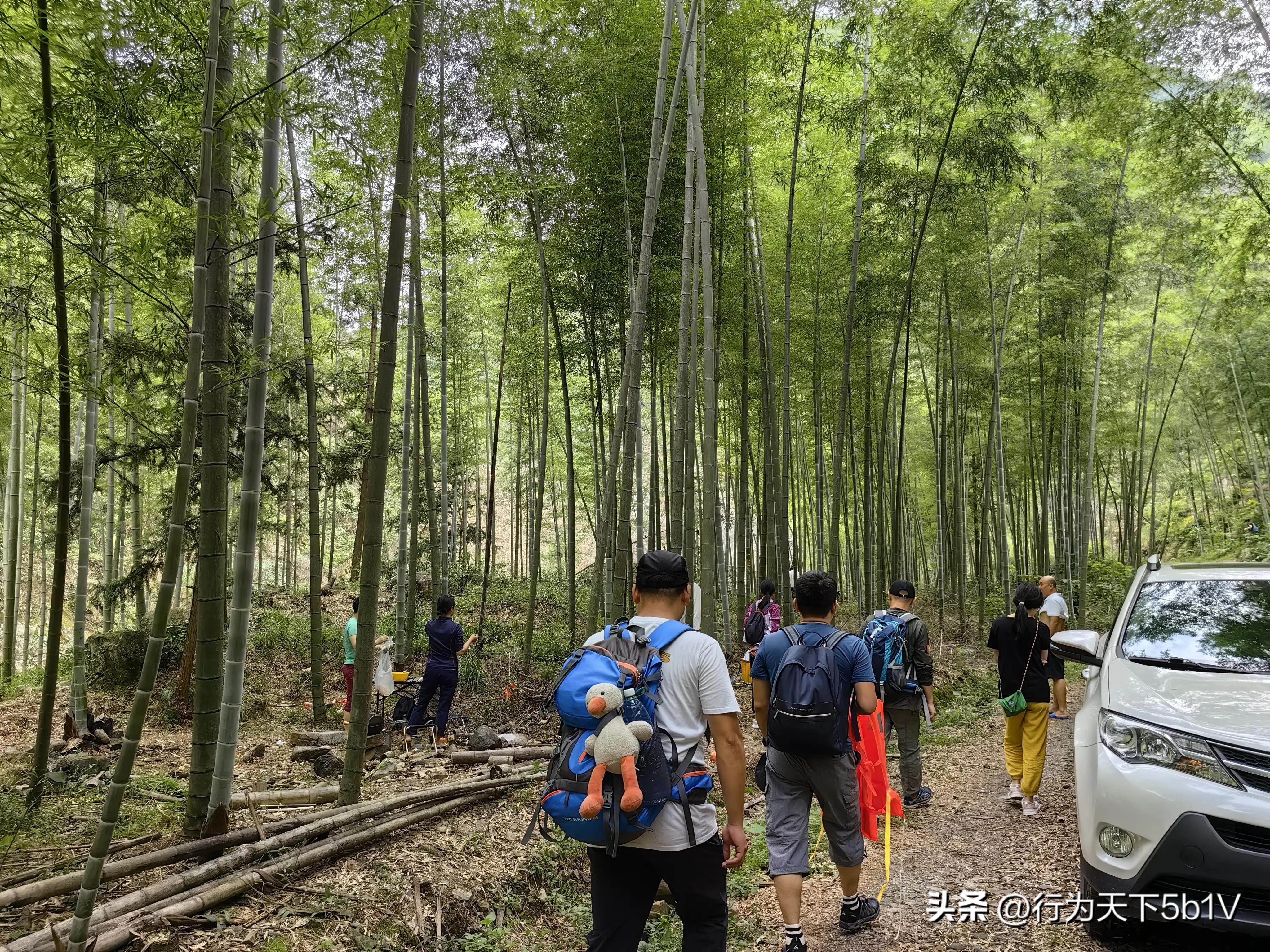 【探秘金紫山下的清凉秘境】行走在资源资江源大峡谷的风景线上