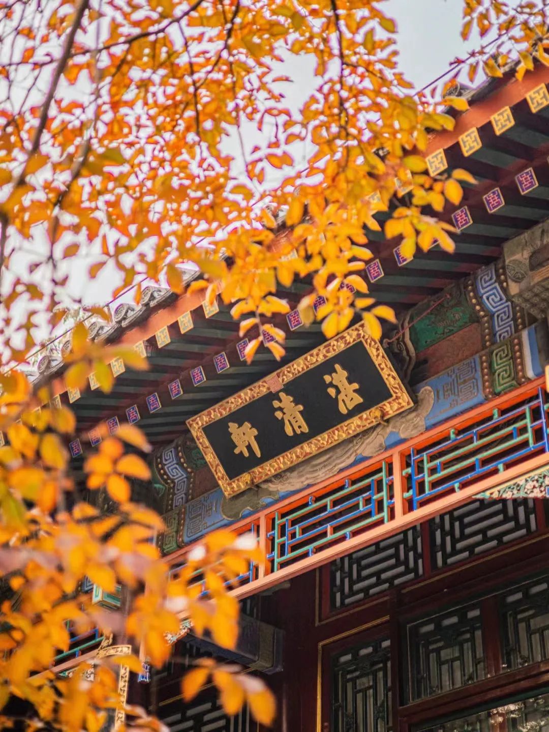 一入秋北京就变成了北平原文,一入秋北京就成了北平是谁说的