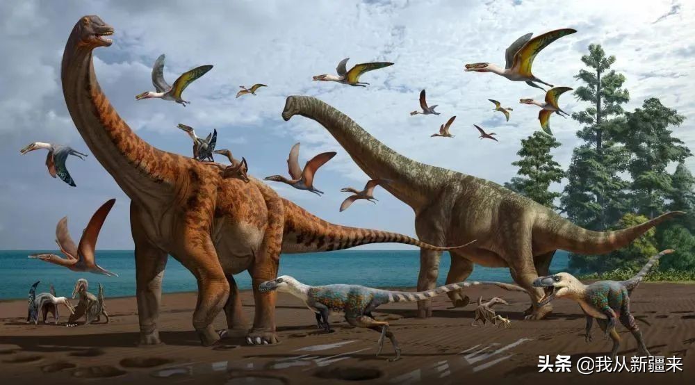 新疆哈密翼龙,天山哈密翼龙