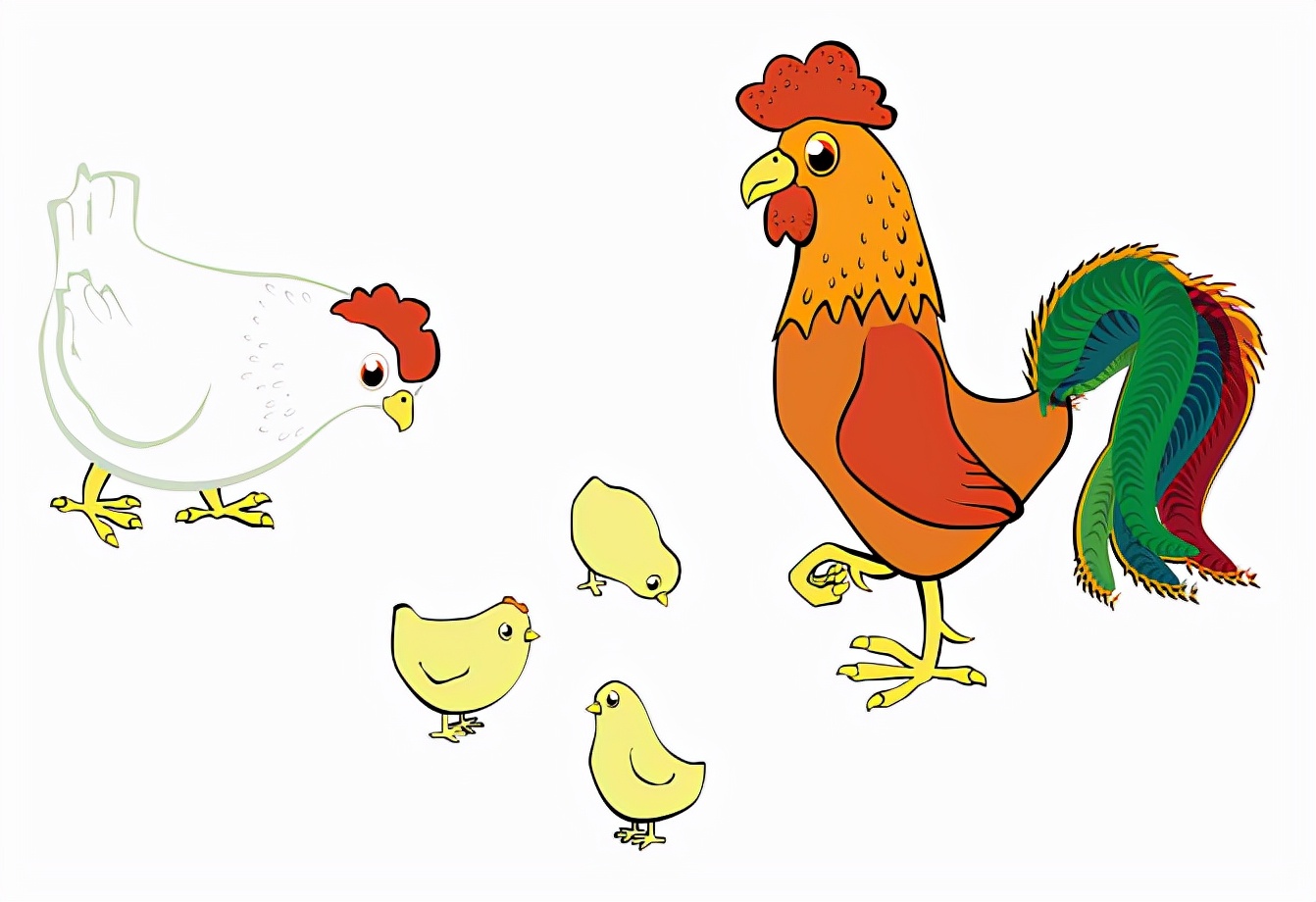 禽病诊断要点大全,十种常见禽病防控与治疗