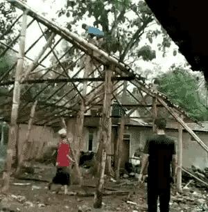 月老看事,月老吐血视频