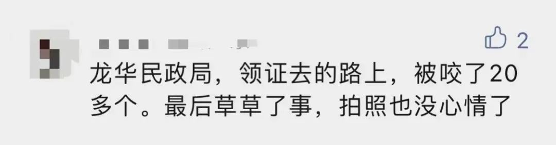 去公园可怕的虫子,去公园如何避免蚊虫叮咬