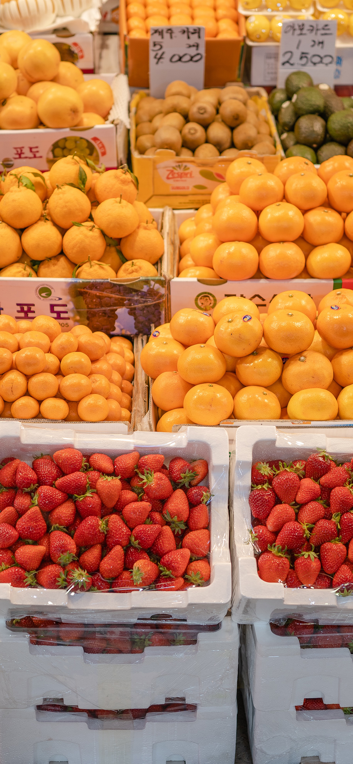 2023年手机壁纸,2023年最新款超清手机壁纸