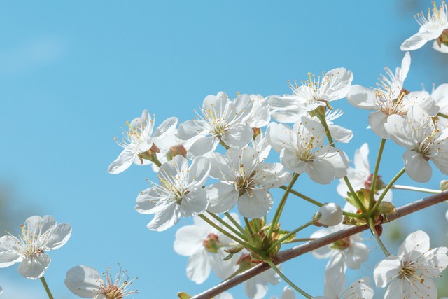 让你身材变得特别好的规律作息,怎么才能让自己的身材变得更好