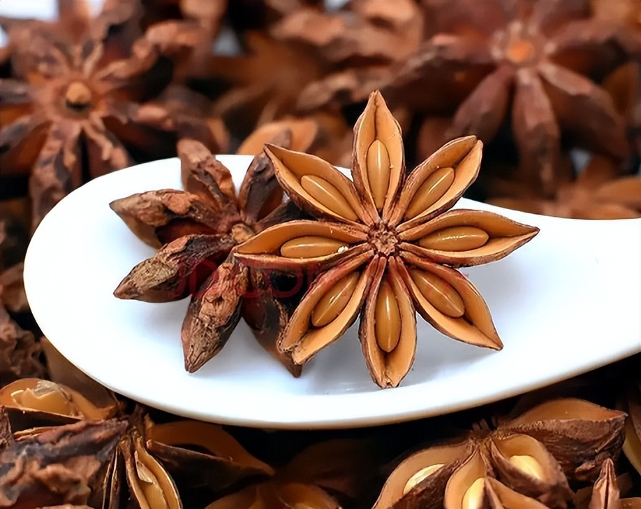 地位“尴尬”的茴香，北方人餐餐吃也不腻，南方却很少人认识它