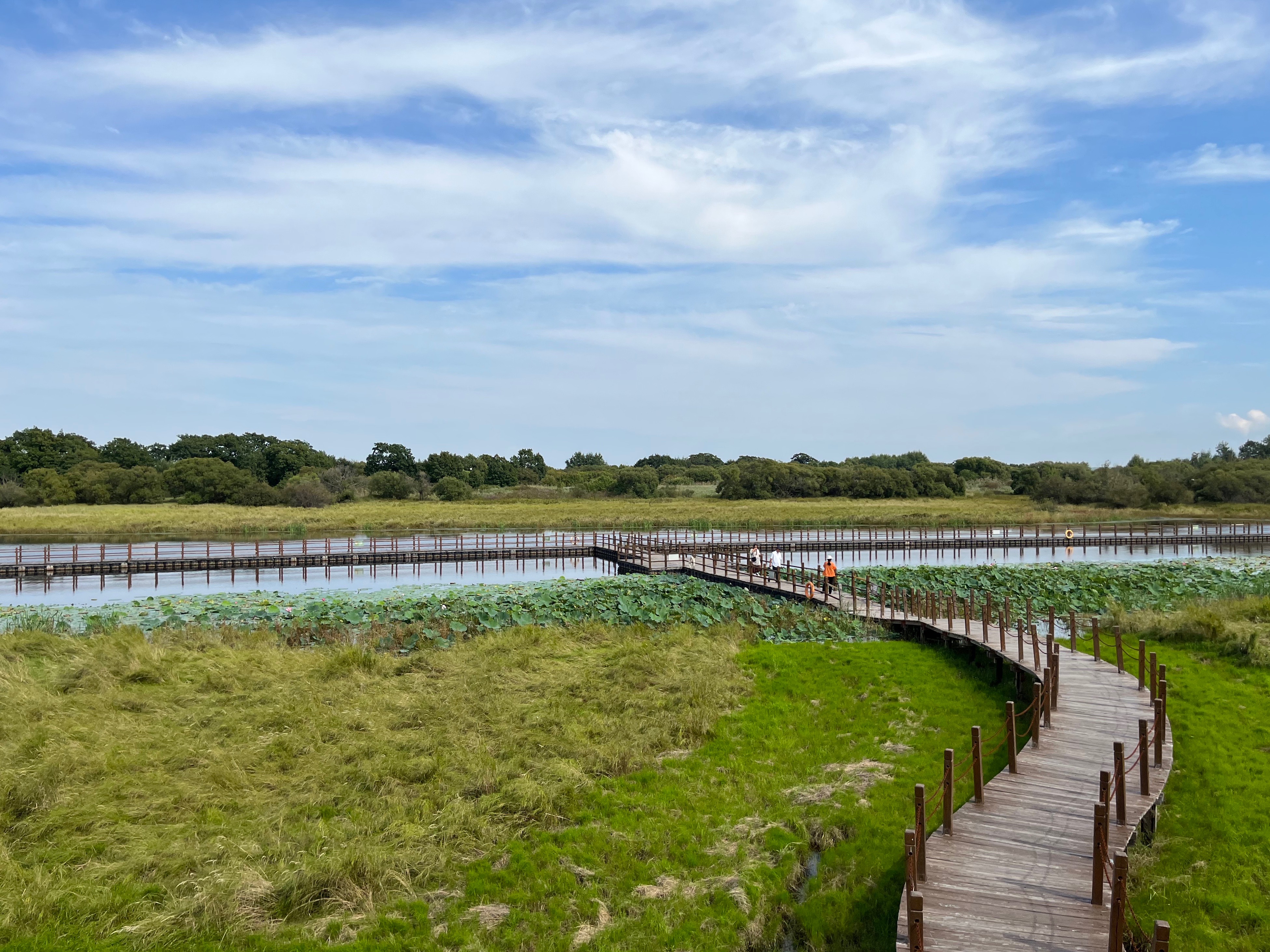 夫妻自驾11000公里,夫妻两人自驾游最新视频