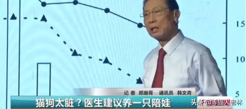 不让养猫是封建迷信吗,怀孕不能养猫是真的吗