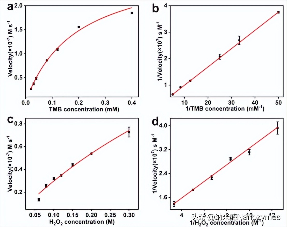 Small|一种利用亲氧金属调控钯基纳米酶活性的策略及生物分析应用