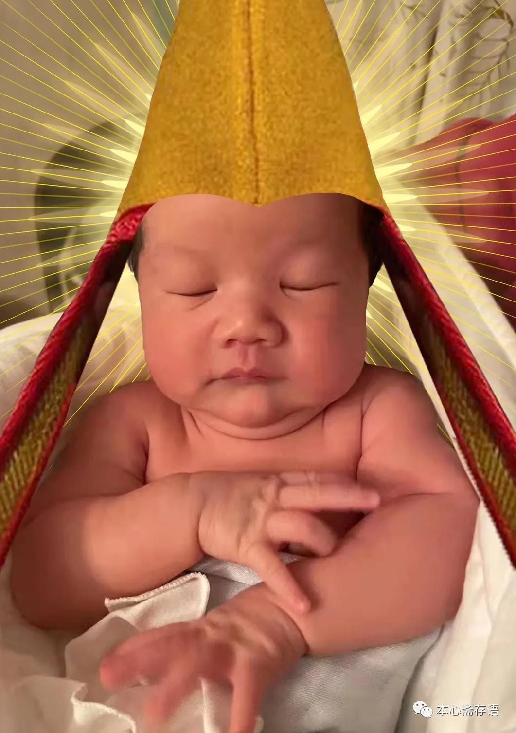 徐之腾最新作品,徐之腾简介