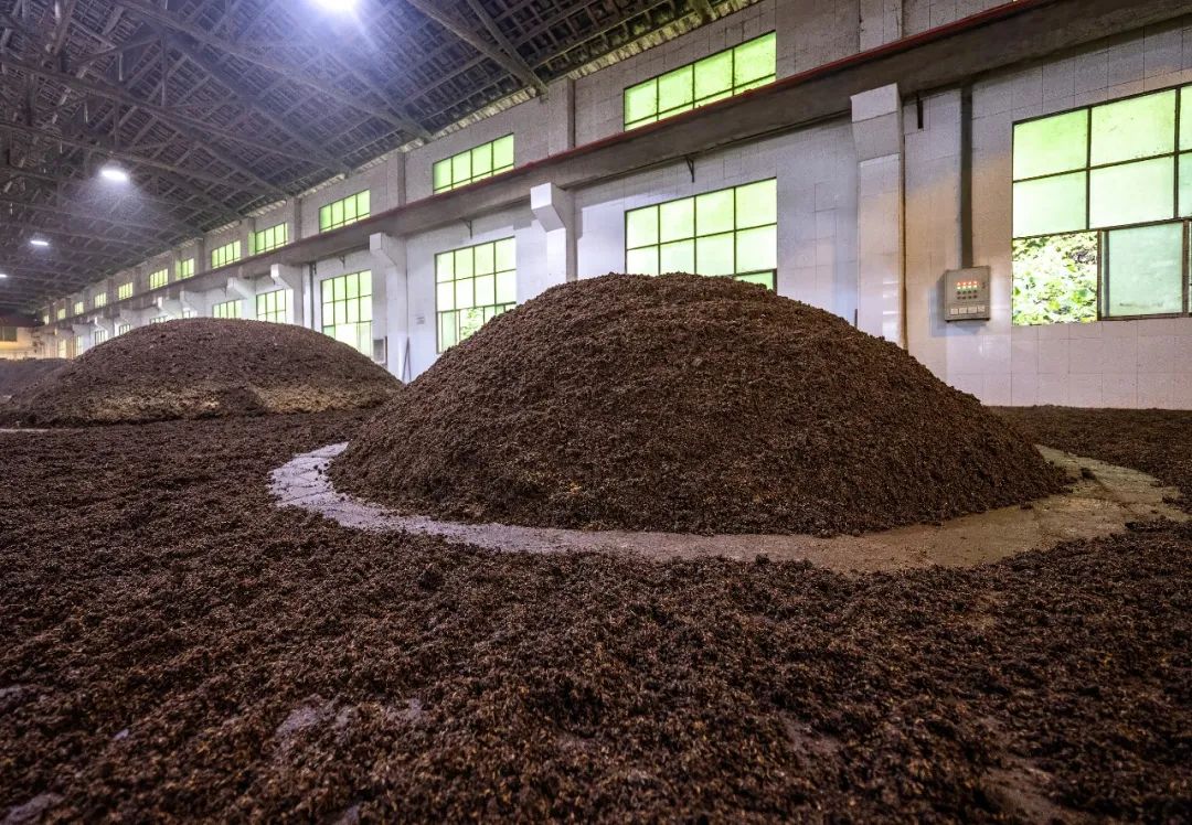 张颐武中国精神,张颐武谈酒文化