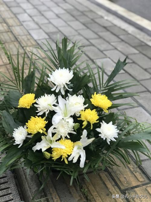 清明节为什么有的在4号有的在5号,为什么清明节都是在4号和5号