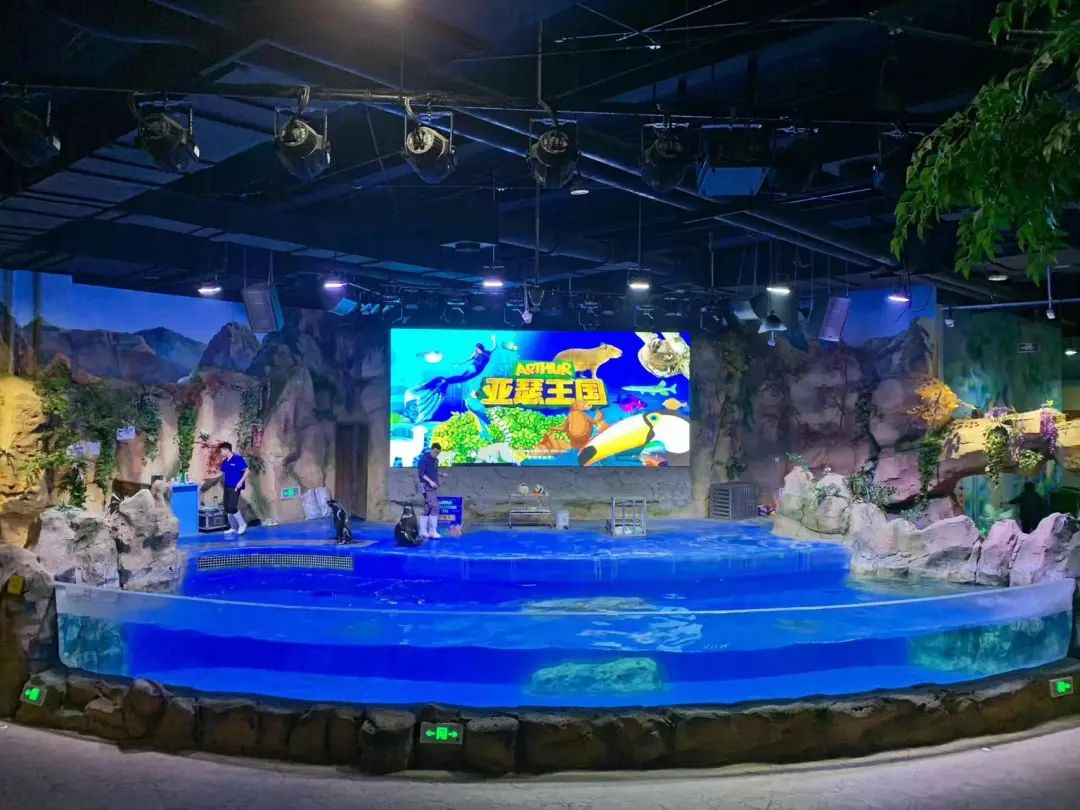 畅游海底世界活动,北京半日游海底世界