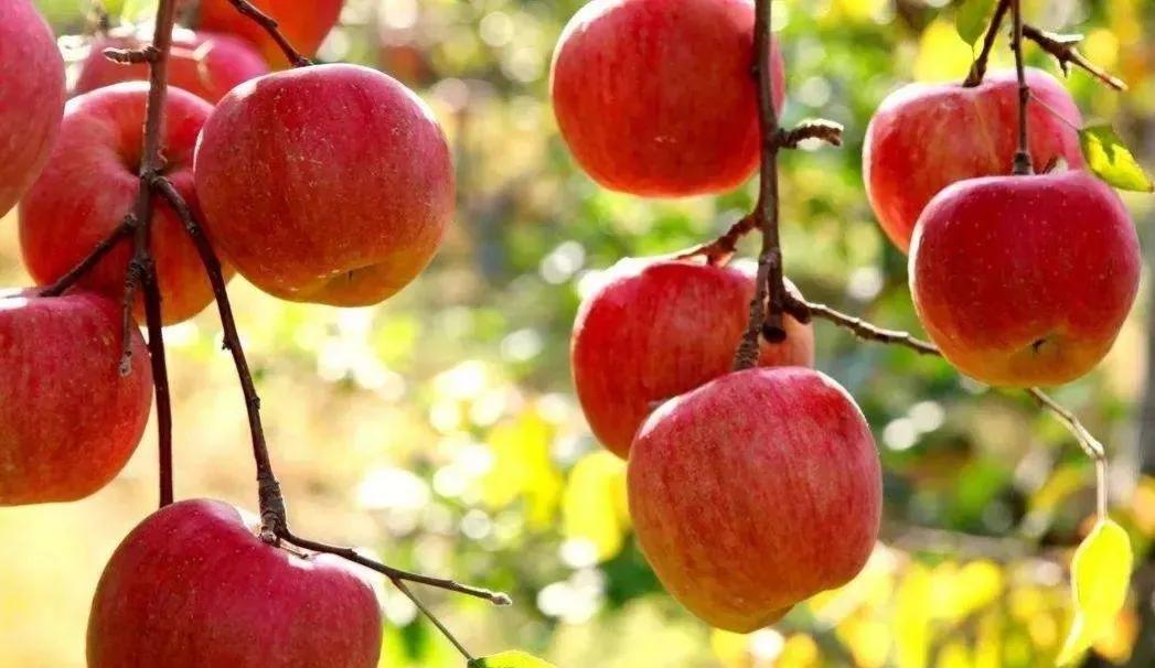 头条收益下跌,头条收益下滑怎么回事