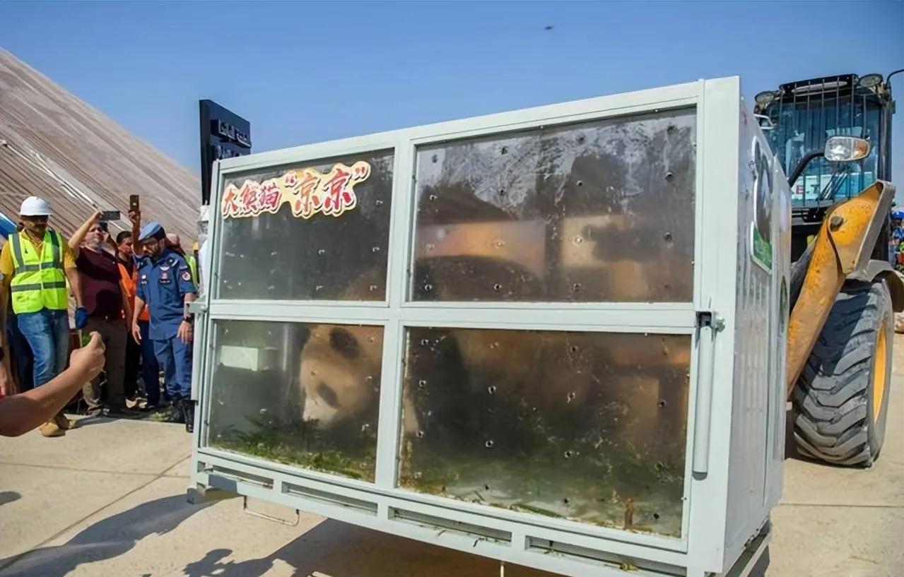 世界杯小知识问答题,世界杯小知识横版