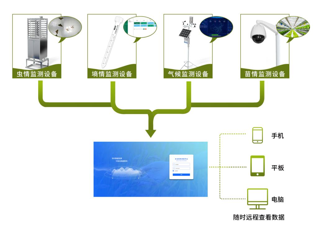 四情监测是什么意思,农业四情监测系统