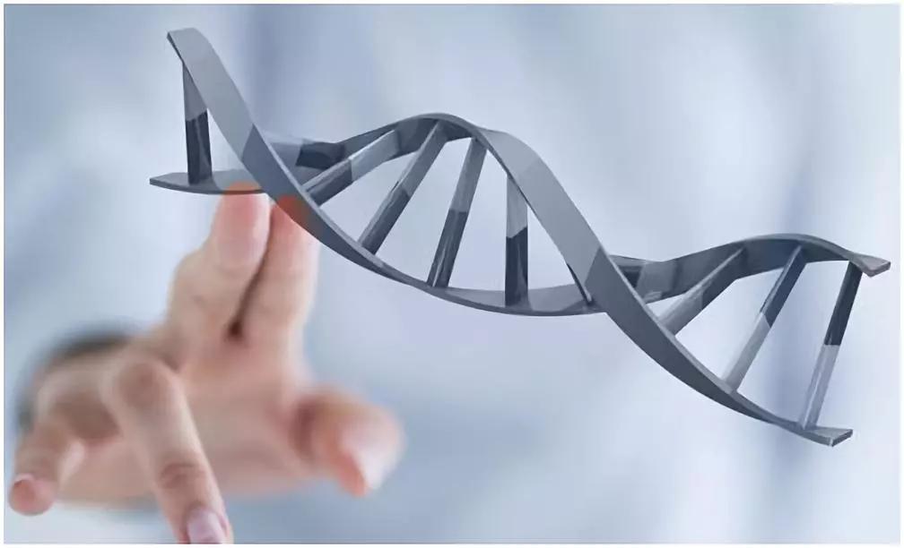 肠胃修复剂有效吗,肠胃功能修复器