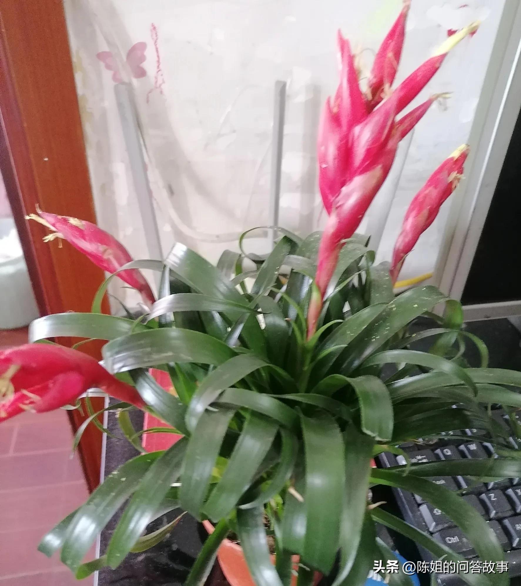 婆婆每年给我2万却不帮带孩子,二婚婆婆从没帮我带过孩子