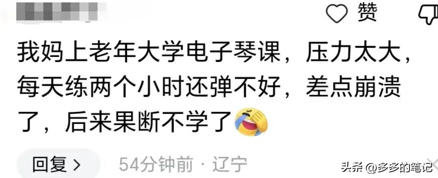 老鼠贴粘到鸟违法吗,老鼠贴能粘住死人吗