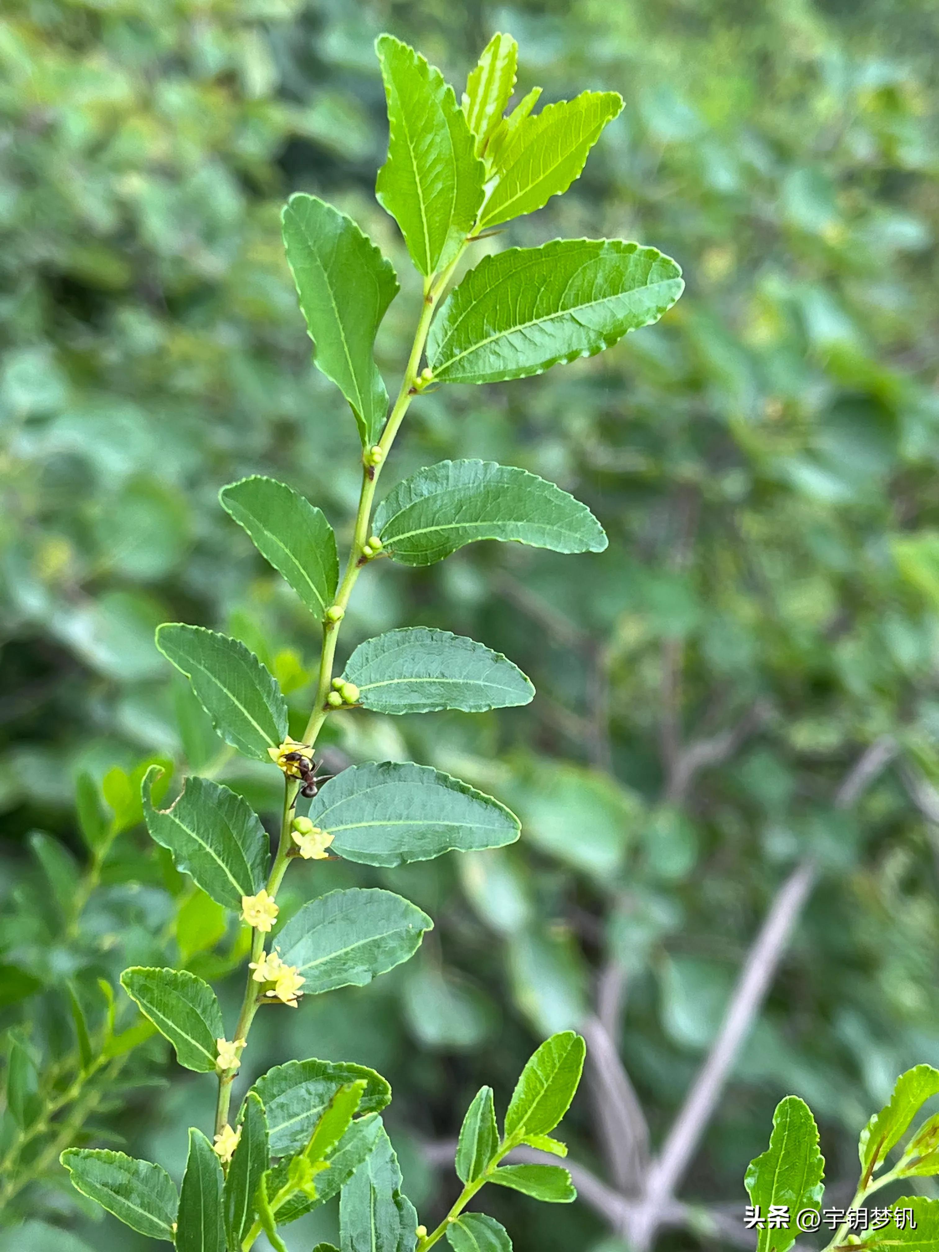 这天爬泰山要穿什么,这天爬泰山