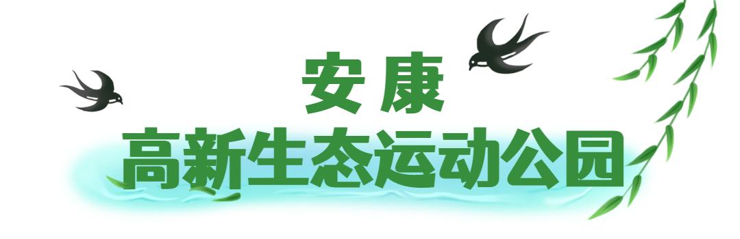 骑行打卡景点,湿地骑行观风景
