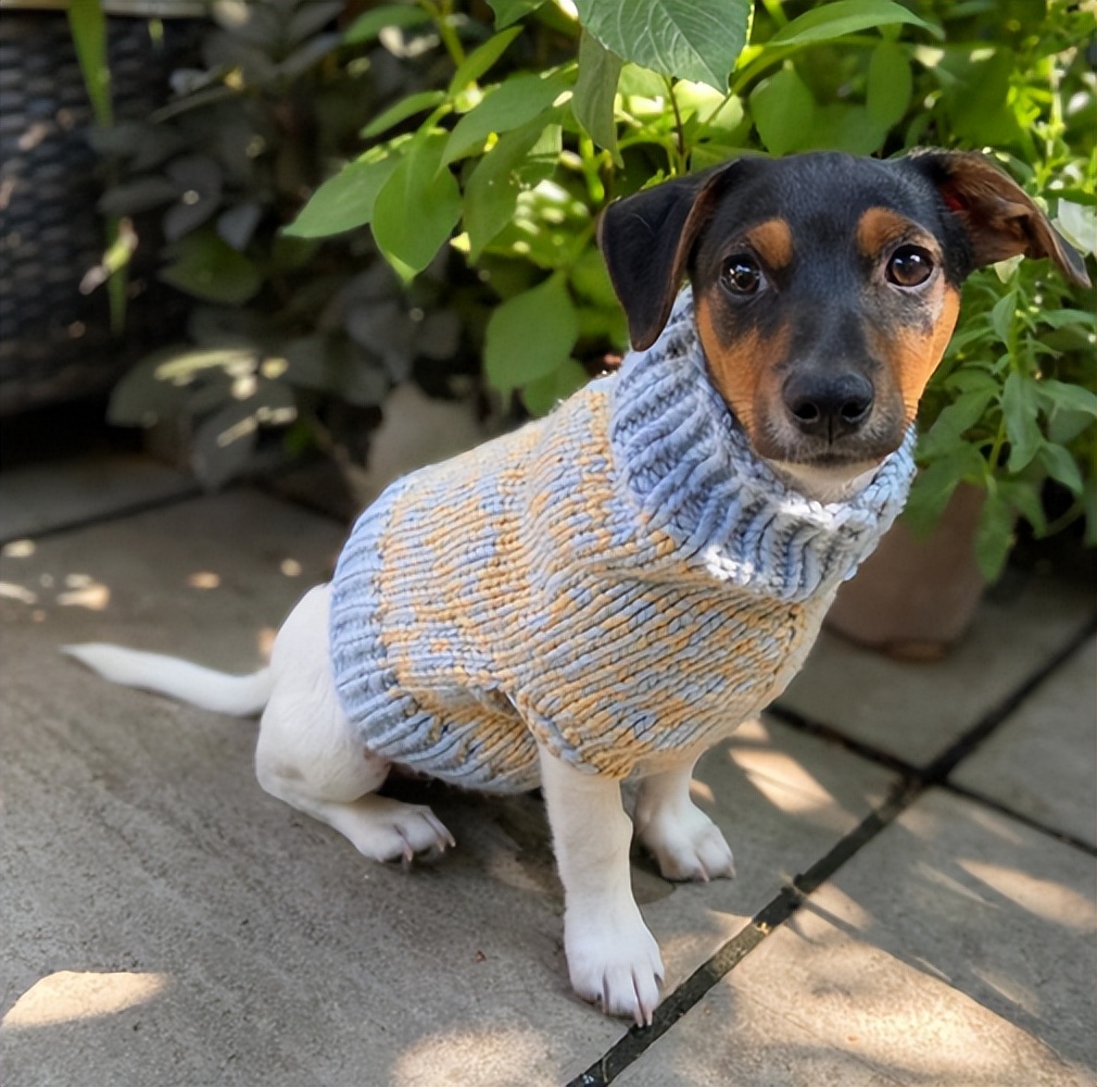 男人，你打个毛线