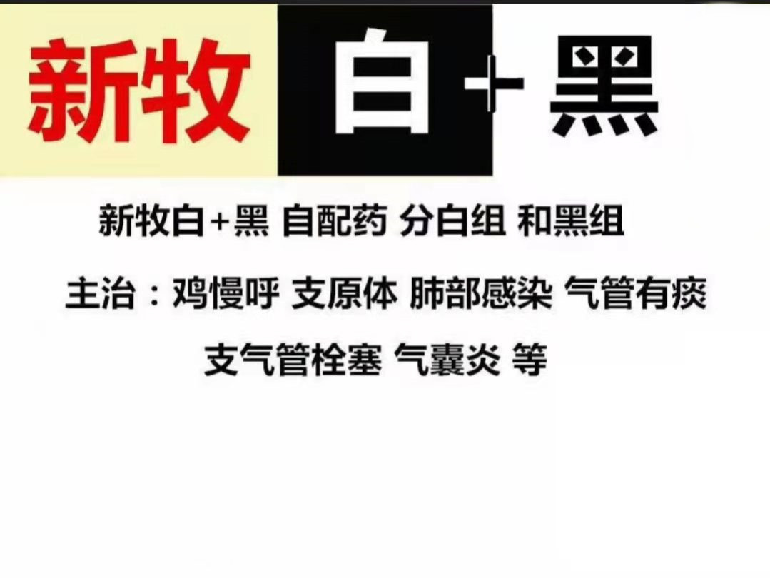 小鸡仰头张嘴怎么治,小鸡张嘴一直不停叫怎么解决