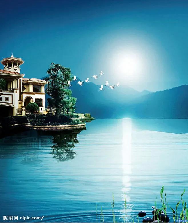 真实大自然风景图片手机壁纸,花草树木壁纸高清风景图片