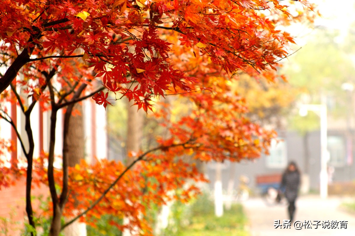 北京物资学院是学啥的,北京物资学院值得上吗