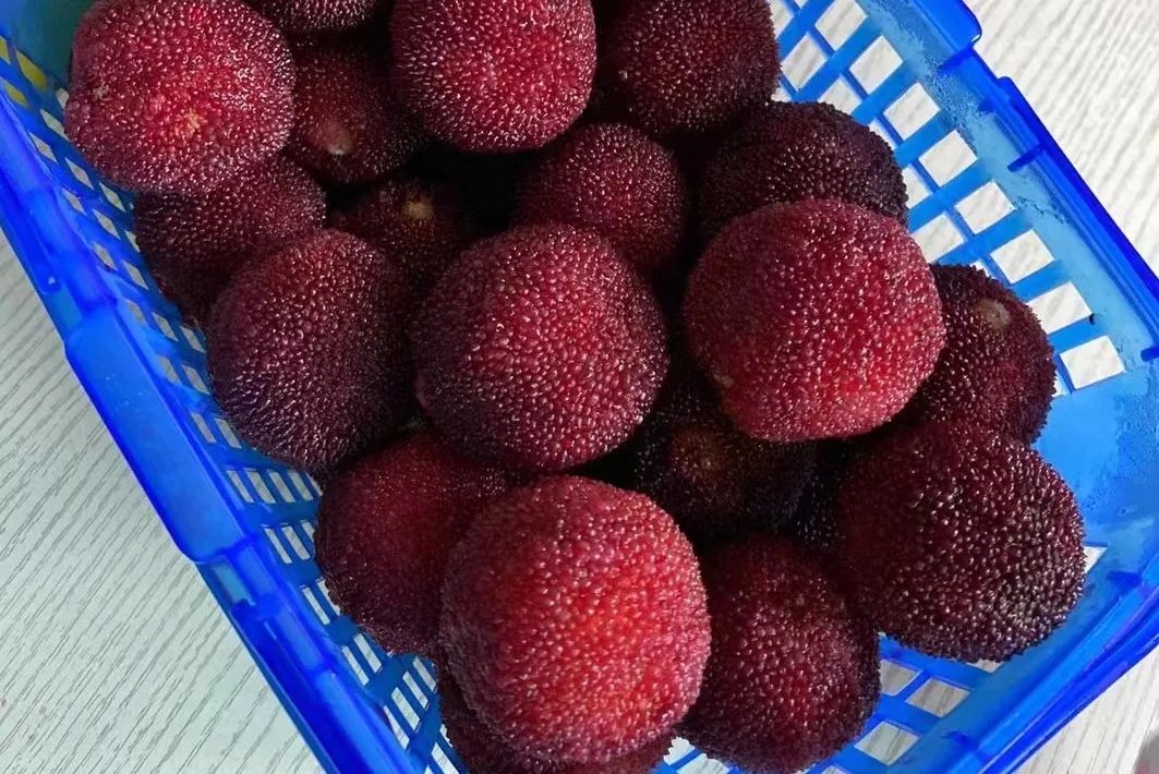 夏日开胃水果,夏季养生果