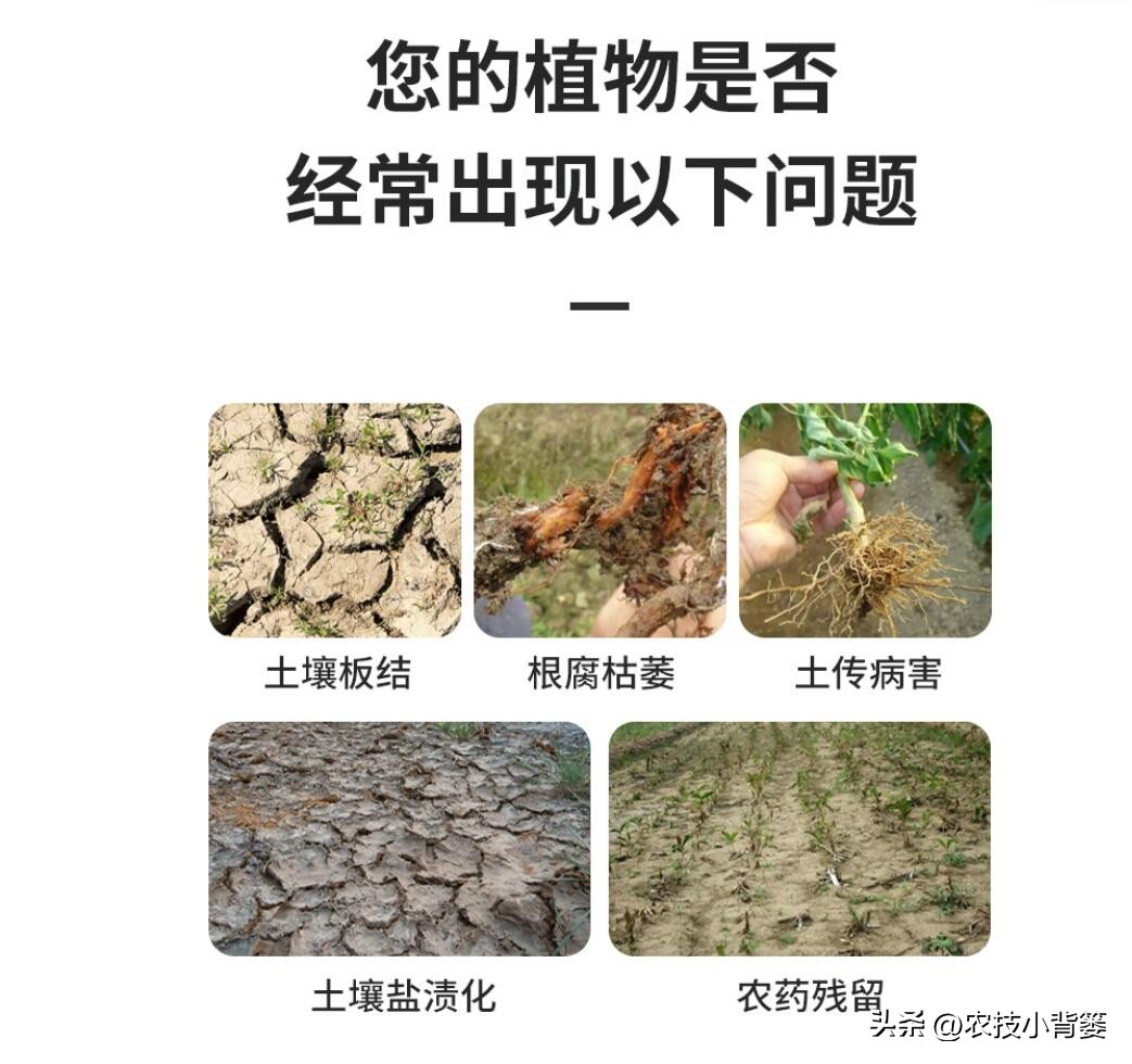 菌剂和菌肥哪一种更好,菌剂和菌肥有什么区别