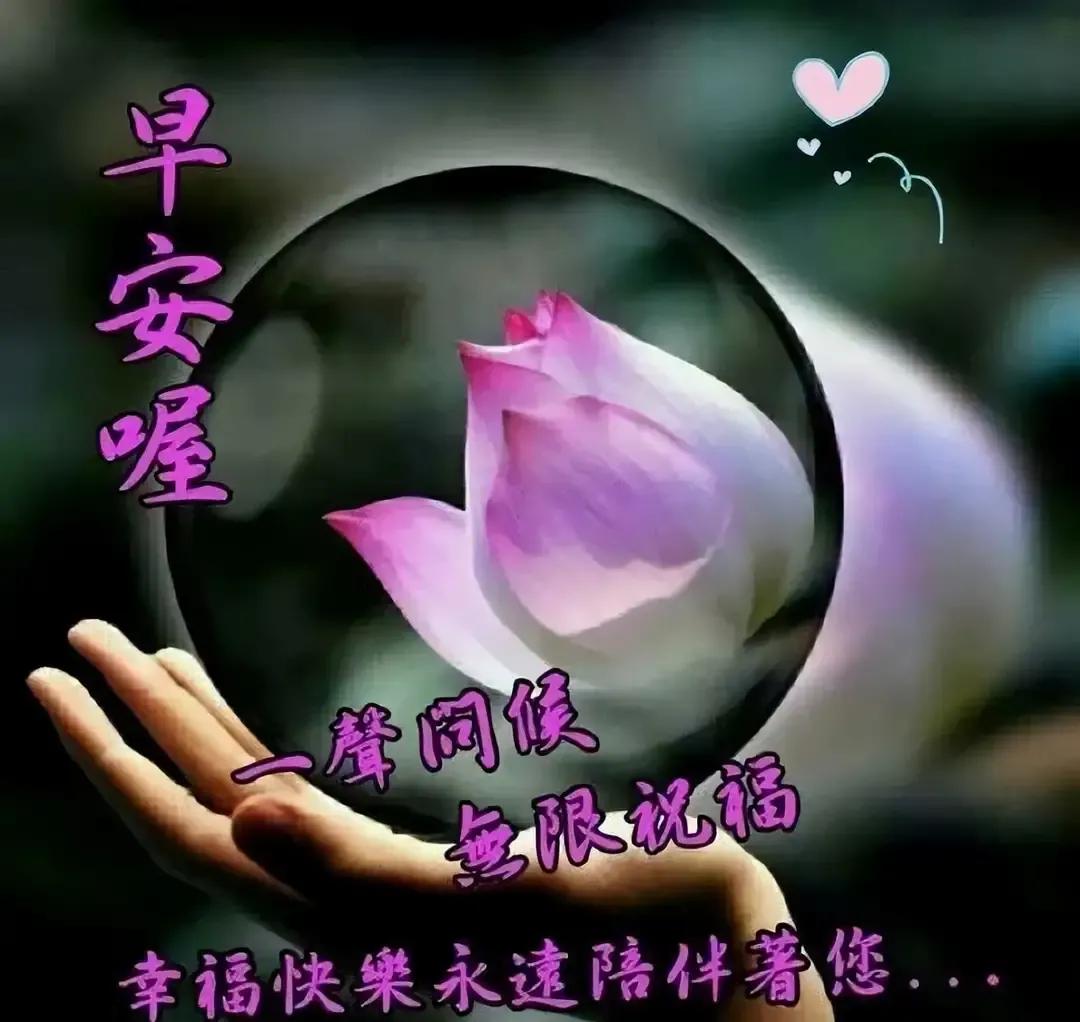 庚子日柱2023年癸卯年运势,癸卯年2023年哪个月出生最好