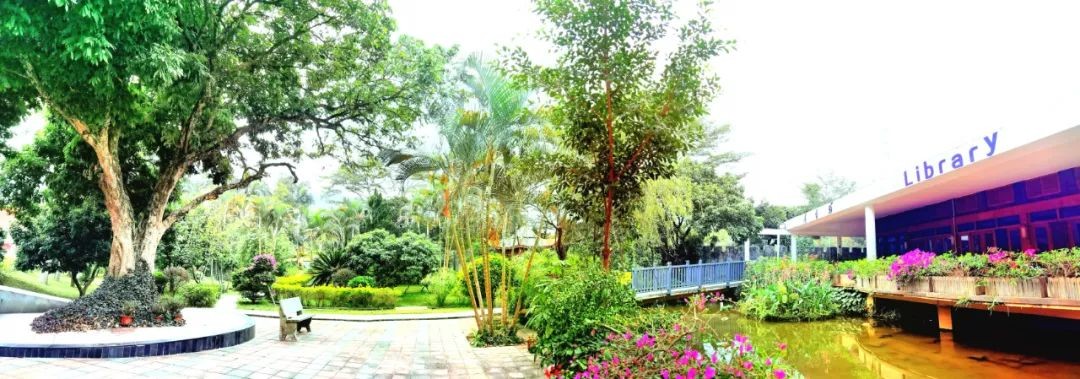 罗湖外语实验学校好吗,罗湖外语实验学校2019